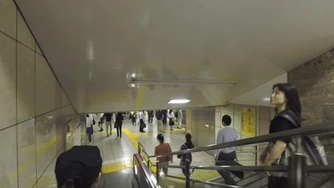 Commuters in the Subway Station 스톡 동영상 114331881