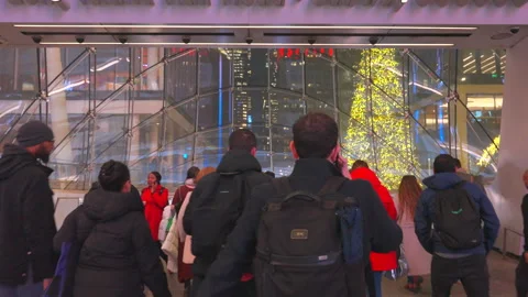 Commuters take elevator to Penn Station beneath glowing Christmas Tree Stock Footage 295917995
