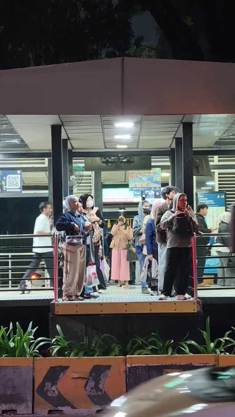 Commuters Waiting at Bus Shelter During Daily Urban Commute at Night Stock Footage 338987055