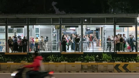 Commuters Waiting at Bus Shelter During Daily Urban Commute at Night Stock Footage 338994854