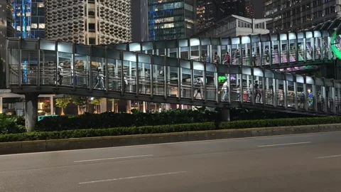 Commuters Walk Across an Elevated Pedestrian Bridge Stock Footage 338446583