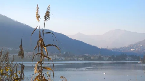 Como lake with mountains in the background Stock Footage 70738386