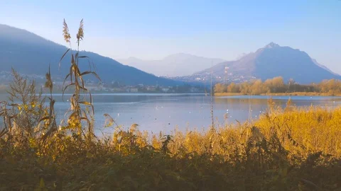 Como lake with mountains in the background Stock Footage 70738412