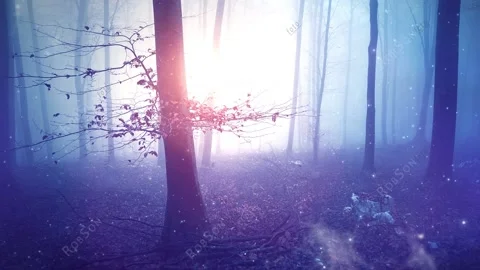 Comp 1 1 Vídeos de archivo 231417003