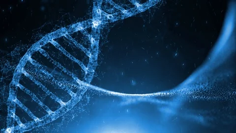 Comp 1 3 copy 6 Stock Footage 125768411