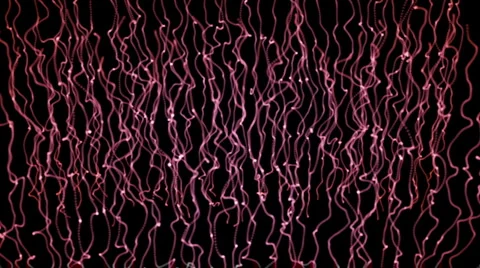 Comp 1 Stock Footage 1067646