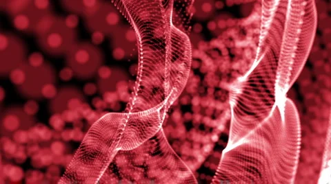 Comp 5 Stock Footage 1067374