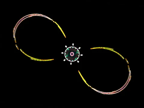 Comp07-24-1 Stock Footage 6530434