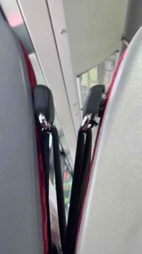 Compact bus interior. Closeup of seat belt. Narrow space with chrome hook Stock Footage 335359263