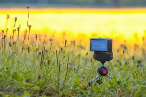 Compact digital camera on tripod with grass in the field or meadow Stock Photos