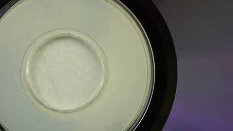 Compact Disc Macro Detail Video stock 70845096