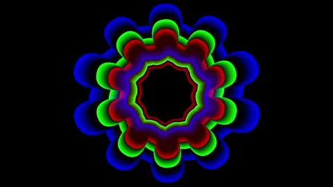 Compact Flower Mandala Stock Footage 340305470