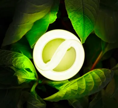 Compact fluorescent lightbulb Foto stock
