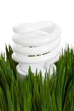 Compact Fluorescent Lightbulb Stock Photos