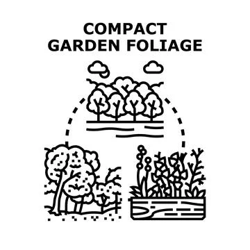 Compact garden foliage different plant types cultivating Stock Illustration