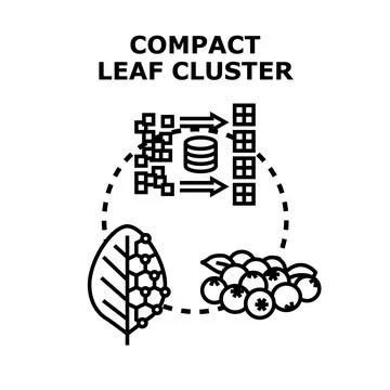 Compact leaf cluster optimization for plant data management Illustrazione stock