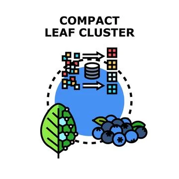 Compact leaf cluster optimization for plant data management Stockillustratie