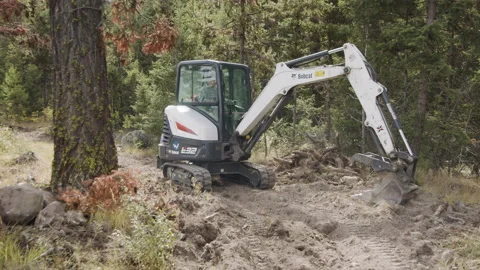 Compact mini excavator clears a bike path in forest, 4k Stock Footage 171350108