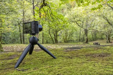 A compact photo camera mounted on a lightweight travel tripod Stock Photos