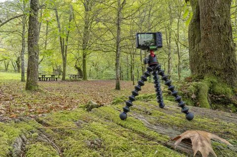 A compact photo camera mounted on a lightweight travel tripod Stock Photos