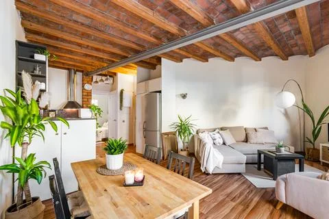 Compact but smartly divided studio with rustic style living and kitchen areas Stock Photos