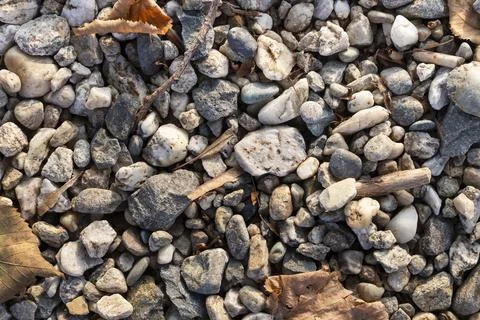 Compact soil composed of medium-fine gravel with dry leaves, sunset light Stock Photos