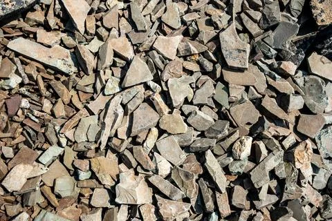 Compacted Scree On Trail In Glacier 库存照片