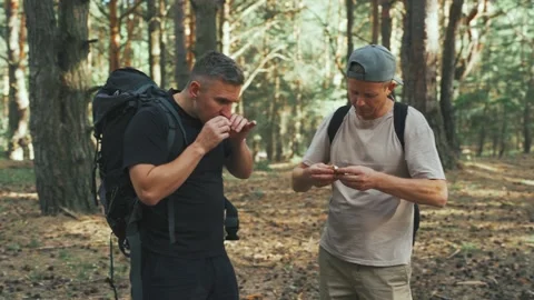 Companions methodically inspect and taste freely gathered native mushrooms Stock Footage 323492775