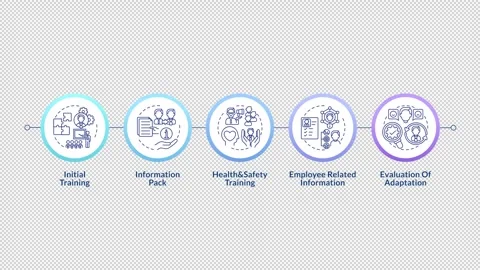 Company study infographic circles animation Stock Footage 296623686