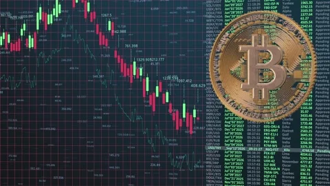 A Comparative Analysis of Bitcoin Price Fluctuations Highlighted in Two Distinct Stock Footage 323423248