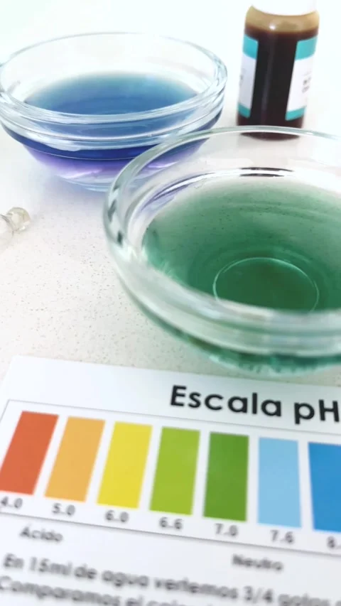 Comparative pH Test of Filtered Water and Tap Water Using Indicator Drops Stock Footage 308862367