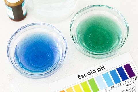 Comparative pH Test of Filtered Water and Tap Water Using Indicator Drops Stock Photos