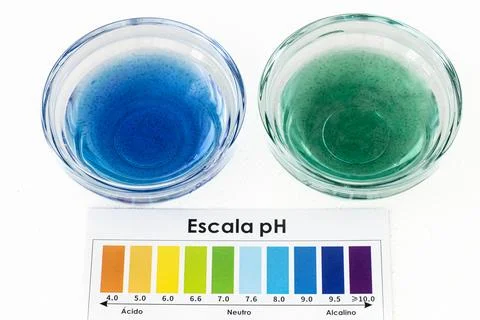 Comparative pH Test of Filtered Water and Tap Water Using Indicator Drops Stock Photos