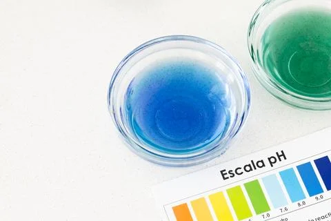 Comparative pH Test of Filtered Water and Tap Water Using Indicator Drops Stock Photos