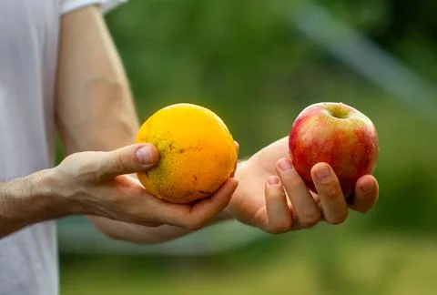 Comparing apples and oranges. Choosing the right product. Stock Photos