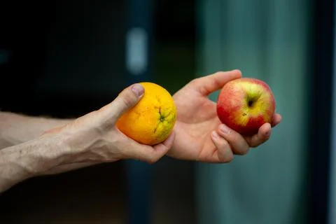 Comparing apples and oranges. Stock Photos