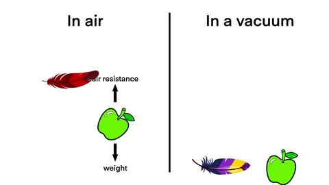 Comparing feather and apple falling in air and in a vacuum Video stock 314568055