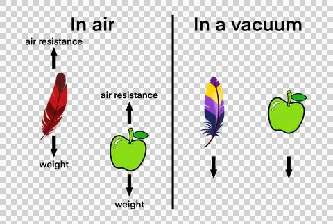 Comparing feather and apple falling in air and in a vacuum Stock Illustration