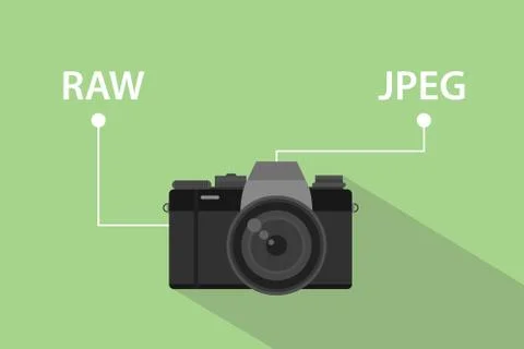Comparing format file of camera between RAW format and JPEG format illustration Stock Illustration