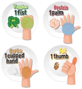 Comparing Hand Portion Sizes for Healthy Eating Stock Illustration
