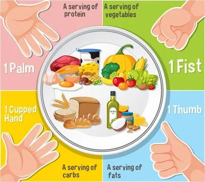 Comparing Hand Portion Sizes for Healthy Eating Illustrazione stock