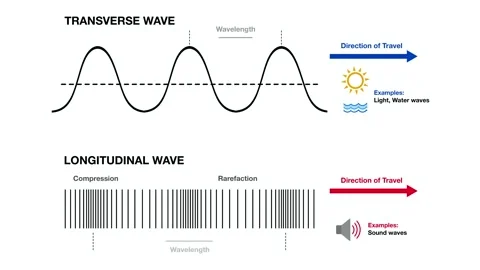 Comparing transverse and longitudinal waves, wavelength, amplitude, compression Stock Footage 338188141