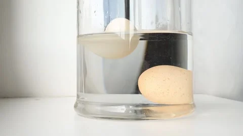 Comparison with fresh edible and old rotten egg. 스톡 동영상 252588089