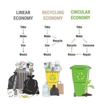 Comparison of linear, recycling and circular economy infographic. Amount of.. Stock Illustration