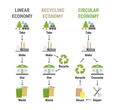 Comparison of linear, recycling and circular economy infographic. Sustainab.. Stock Illustration