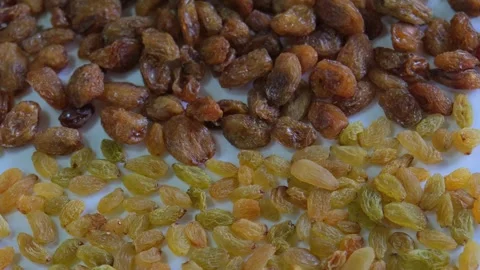 A comparison shot of two varieties of raisins, brown munakka and golden kishmish Stock Footage 333202730
