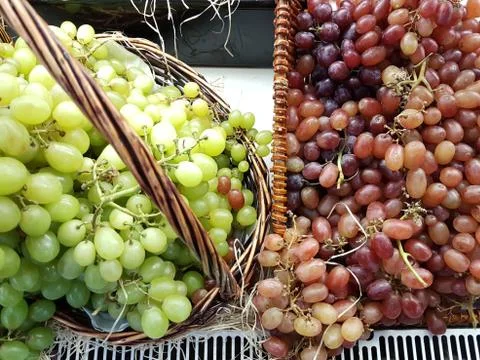 Comparison of two different colored grapes, green and purple Stock-Fotos
