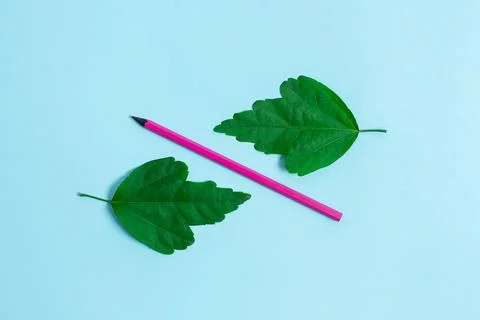 Comparison of Two Objects Blocks Pencils Sticker Notes Facing Inward Outward 写真素材