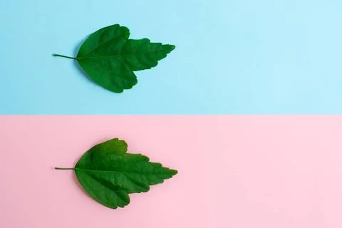 Comparison of Two Objects Blocks Pencils Sticker Notes Facing Inward Outwa... 写真素材