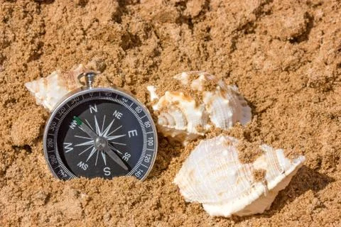 Compass and seashells Stock Photos